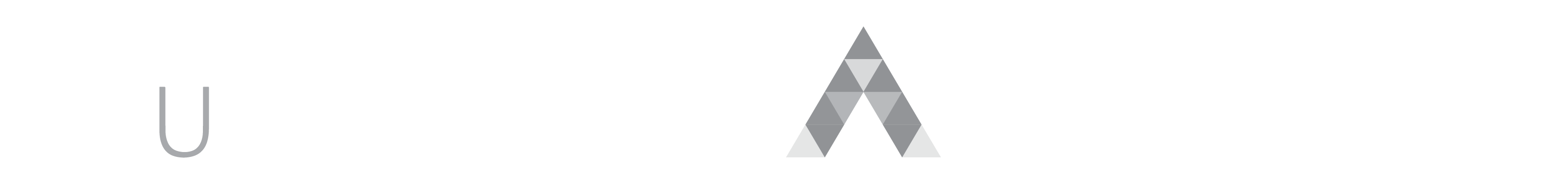 Lumigraphics Logo